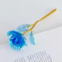 Rosa do Infinito - A Flor que Encanta para Sempre