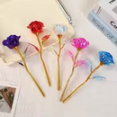 Rosa do Infinito - A Flor que Encanta para Sempre