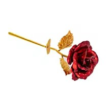 Rosa do Infinito - A Flor que Encanta para Sempre