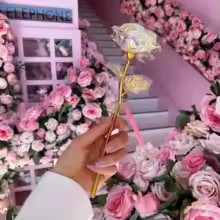 Rosa do Infinito - A Flor que Encanta para Sempre